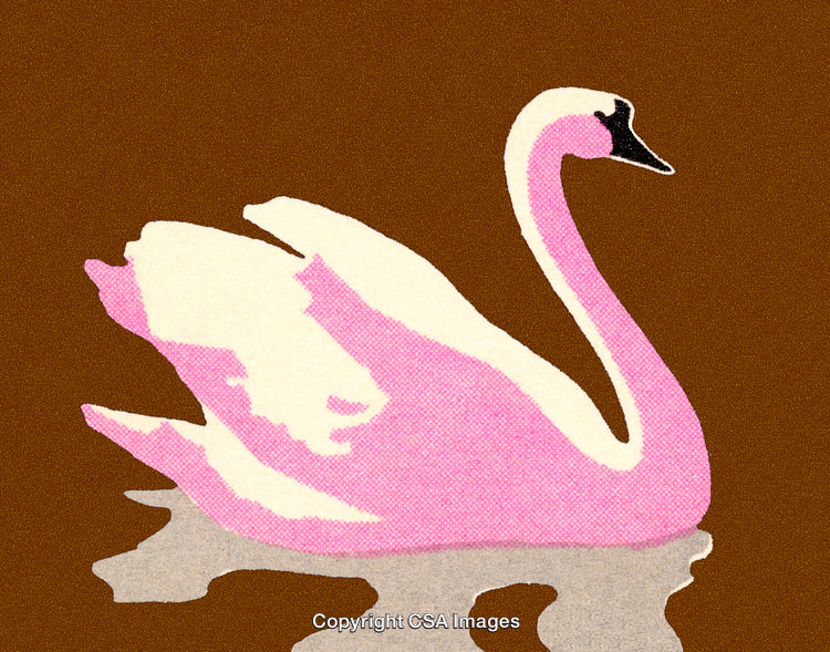 Pink Swan Illustration with Abstract Style and Textured Background