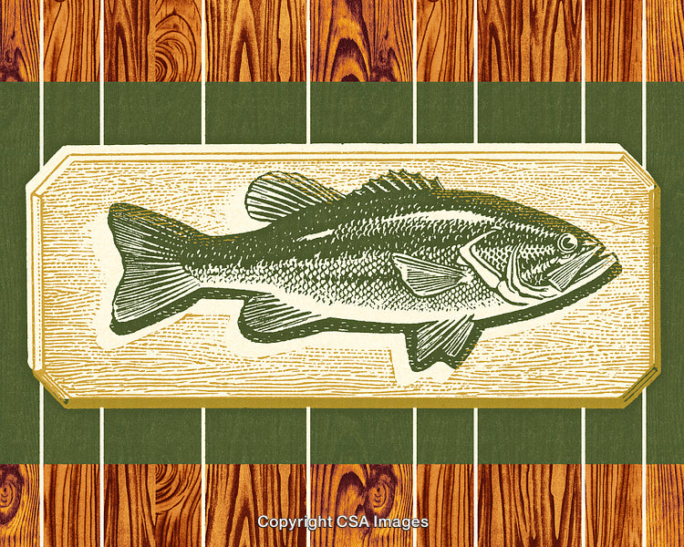Vintage Engraved Fish Illustration on Wooden and Green Background
