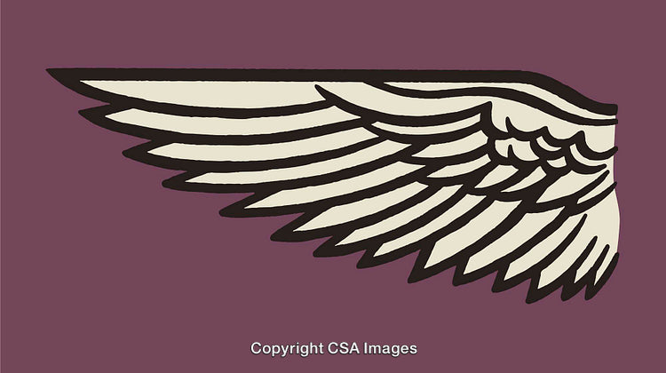 Stylized Wing Illustration with Bold Lines and Minimalist Design