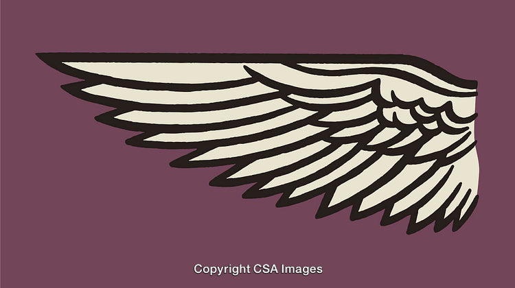 Stylized Wing Illustration with Bold Lines and Minimalist Design