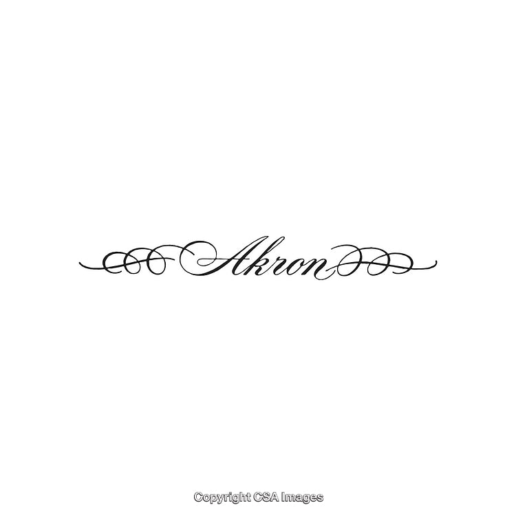 Elegant Calligraphy Text with Decorative Swirls on a White Background