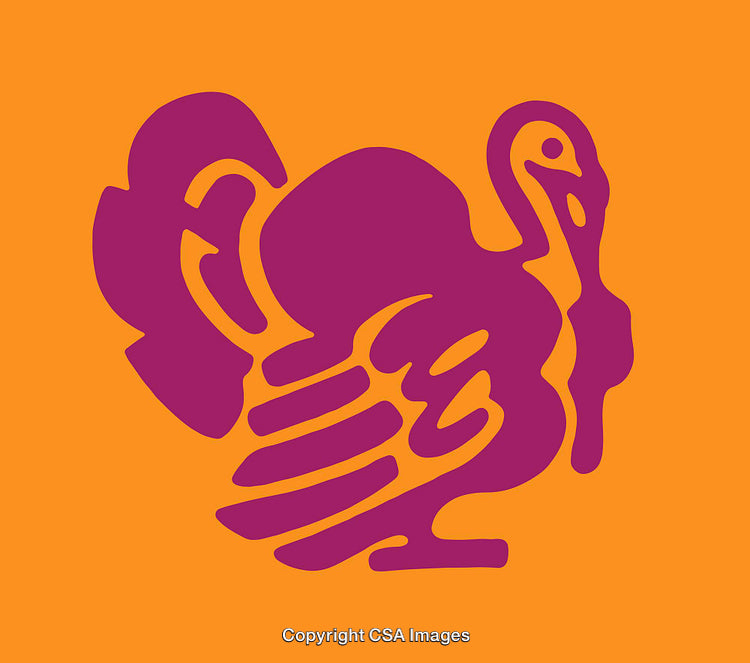 Vibrant Abstract Turkey Illustration in Purple and Orange