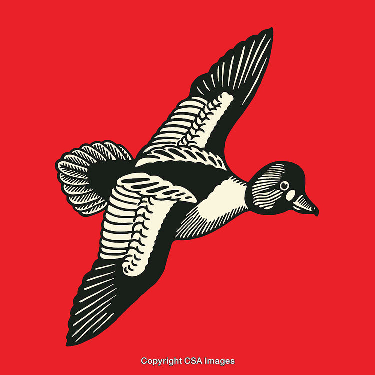 Bold Colorful Illustration of a Flying Bird on a Red Background