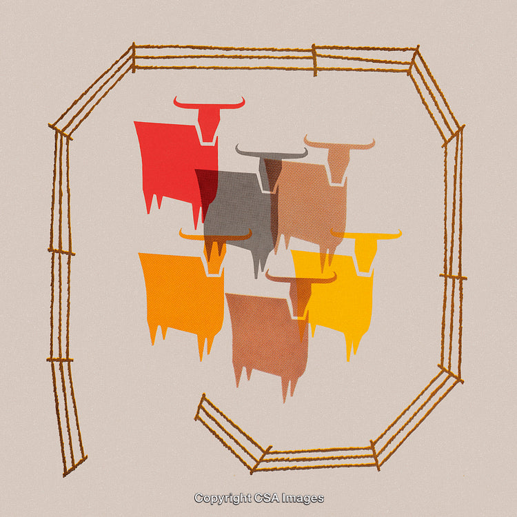 Colorful Abstract Illustration of Bulls Enclosed in a Stylized Fence