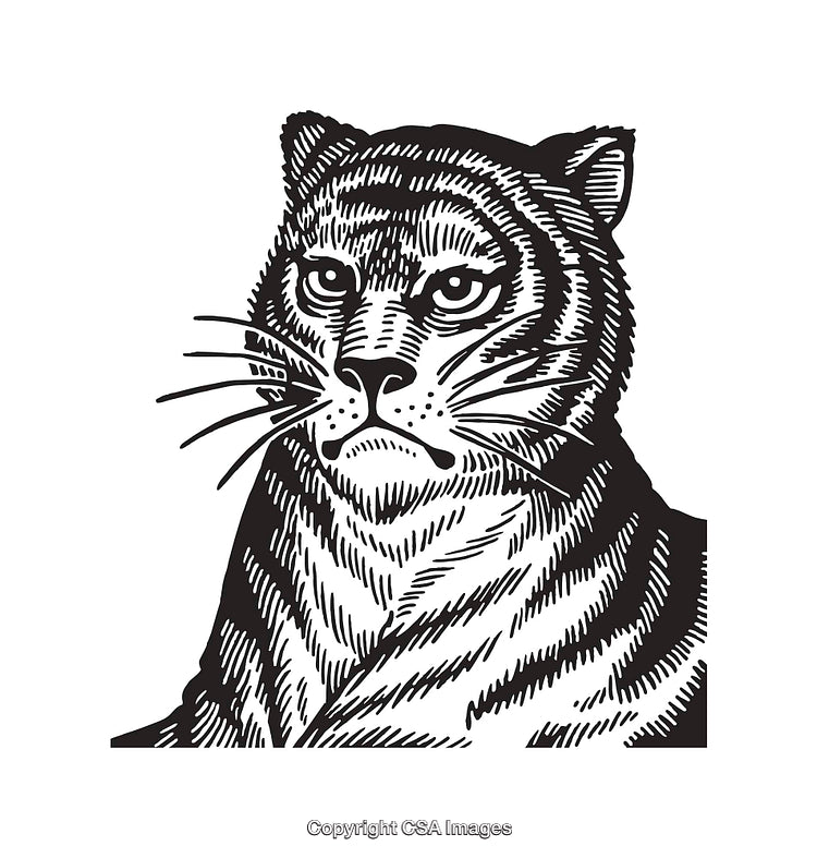 Black and White Detailed Tiger Line Art Illustration