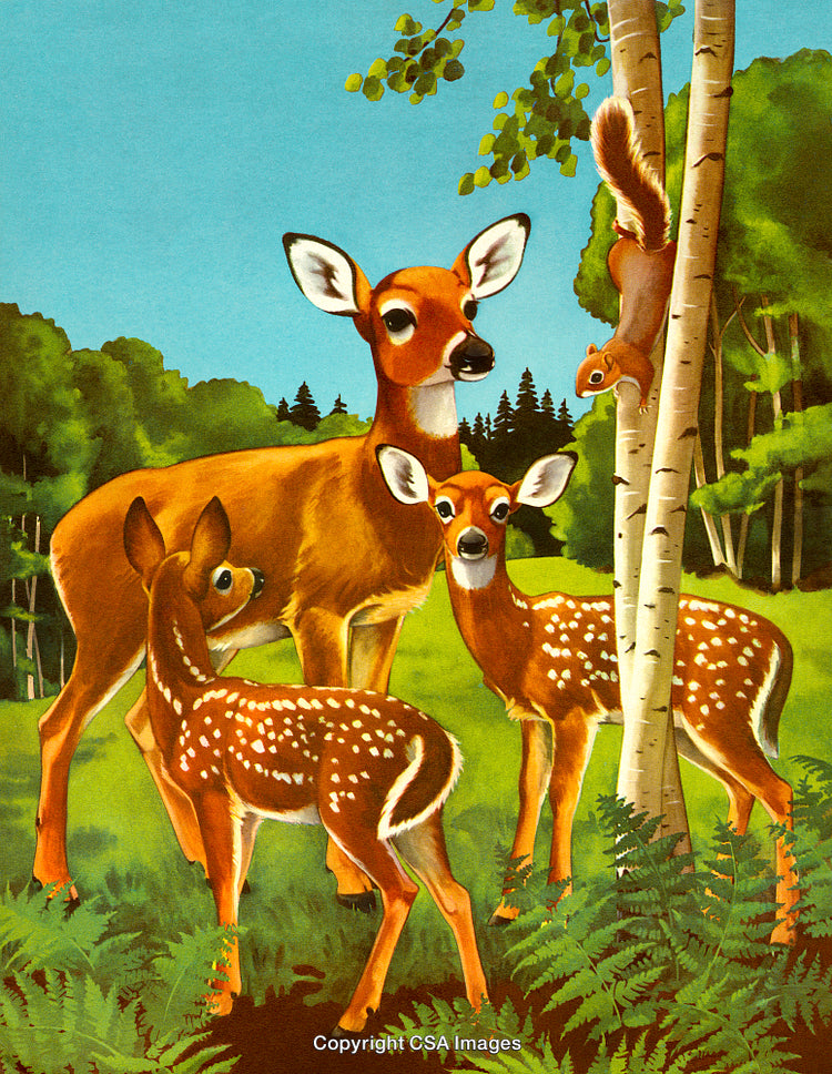 Illustration of Deer Family and Squirrel in a Lush Forest Setting