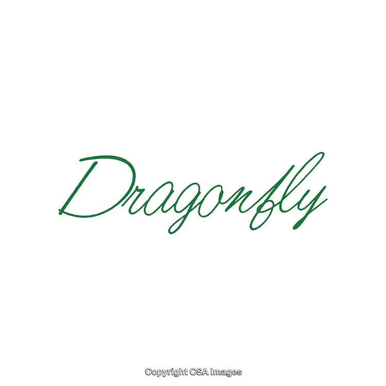 Elegant Green Handwritten Text Featuring 'Dragonfly' on White Background