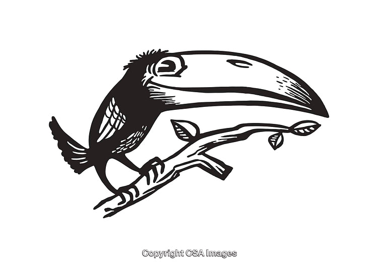 Black And White Line Art Illustration of a Bird Perched on a Branch
