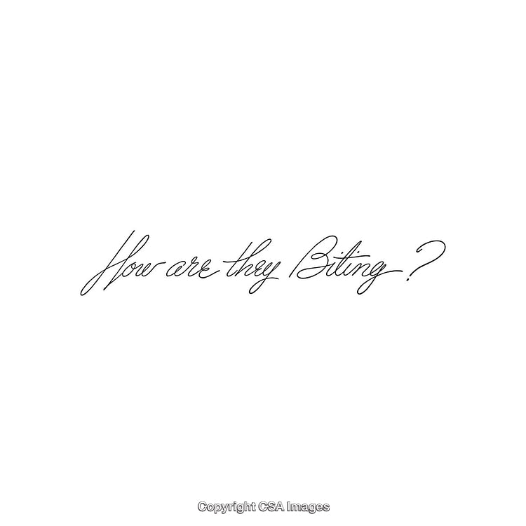 Elegant Script Text Asking About the Status of an Ongoing Activity