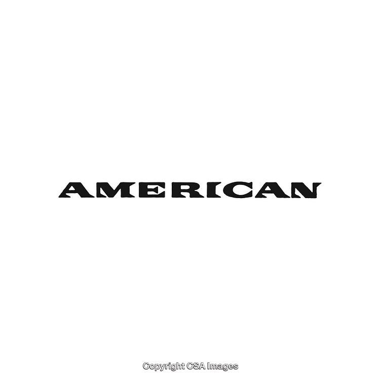 Bold American Text Design in Black on White Background