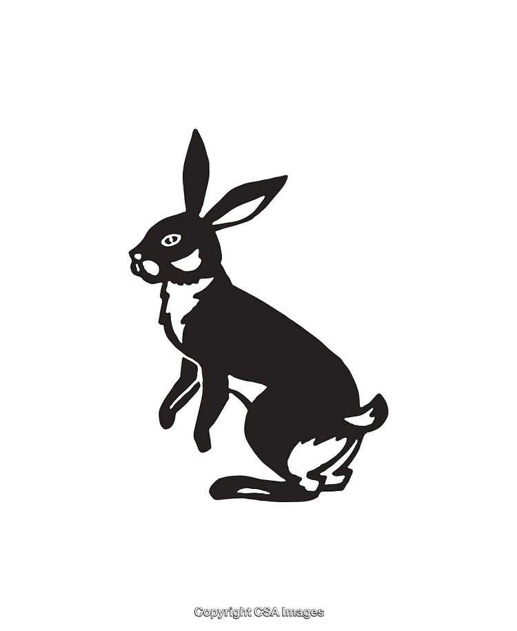 Silhouette Illustration of a Rabbit in a Sitting Pose