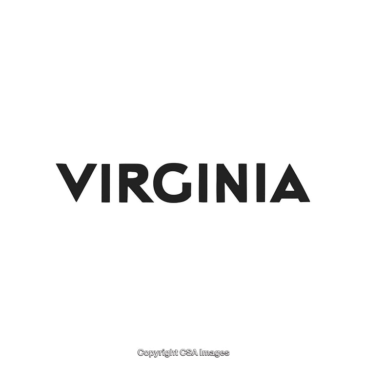 Modern Typography Featuring the Name Virginia in Bold Black Letters on White