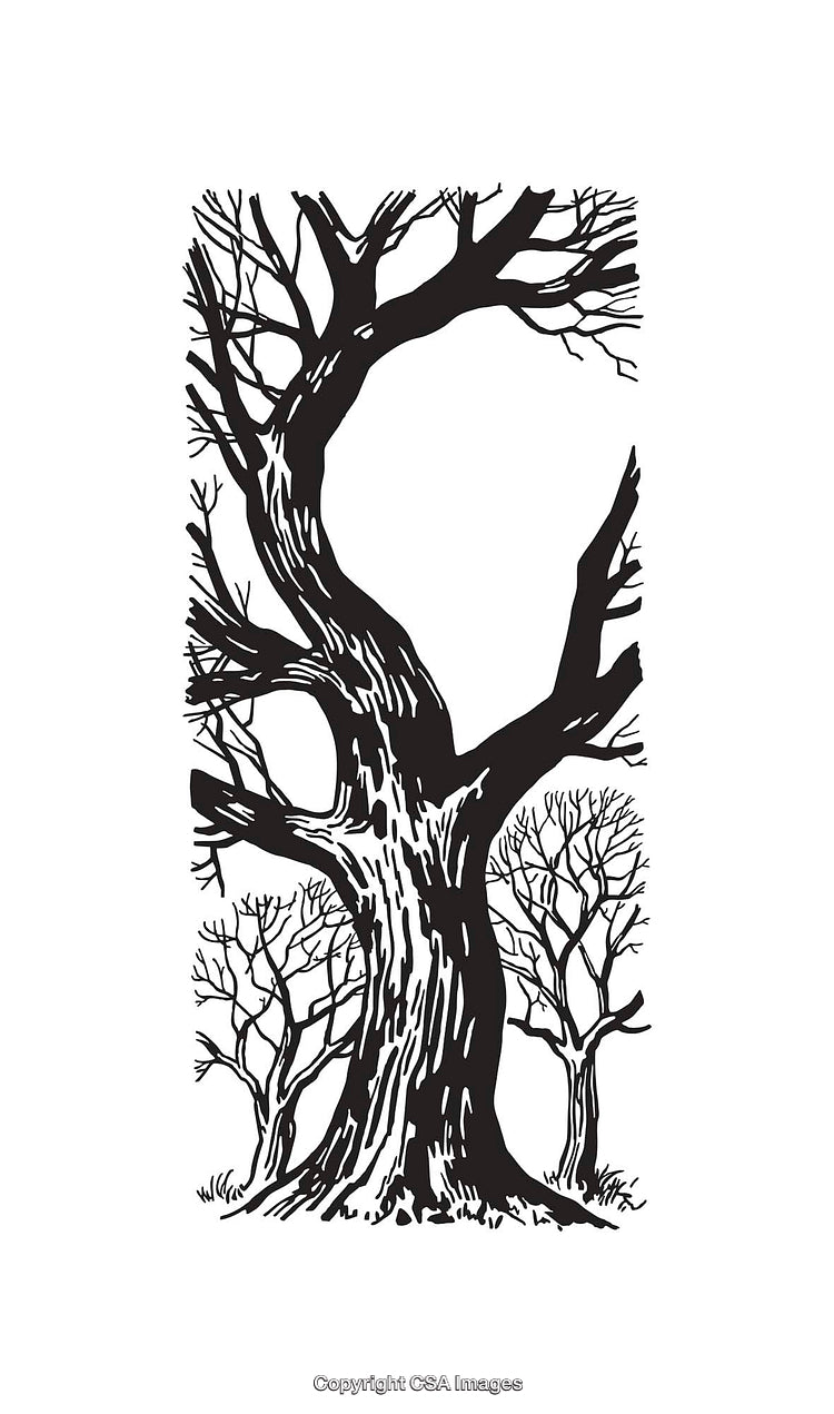 Black and White Line Art of Leafless Trees in Winter Forest Scene