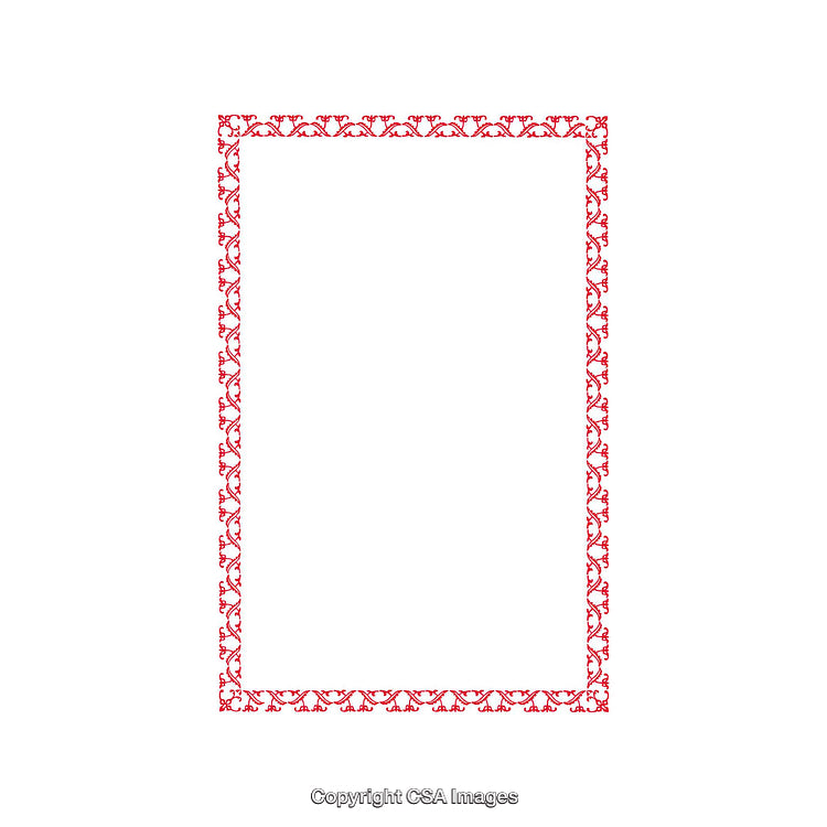 Elegant Red Border With Floral Design on White Background