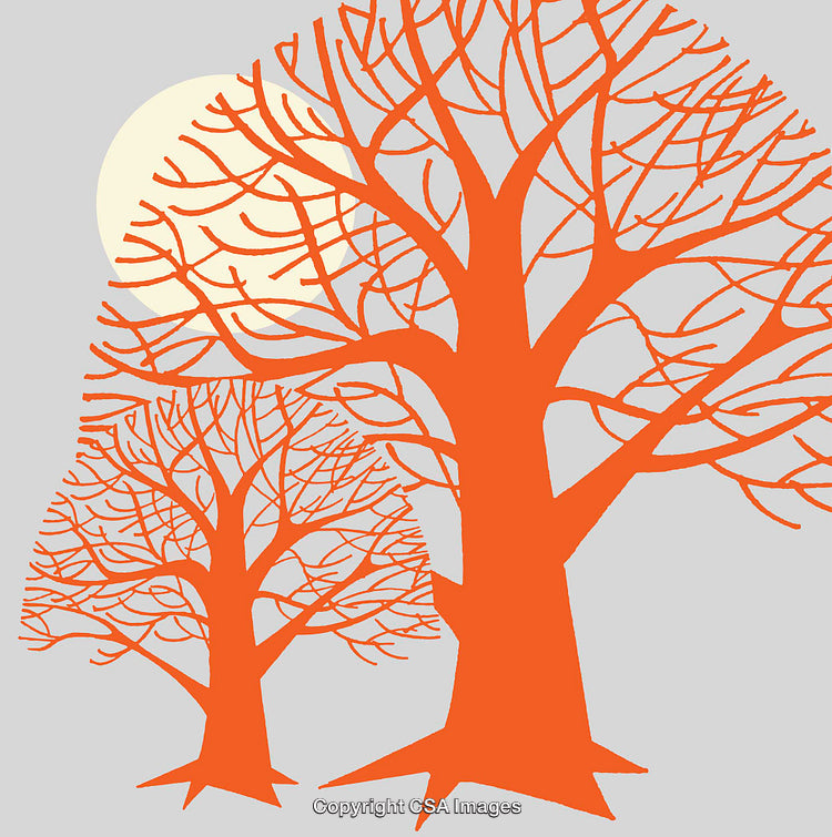 Colorful Silhouette of Trees with Sun in Minimalist Artistic Style