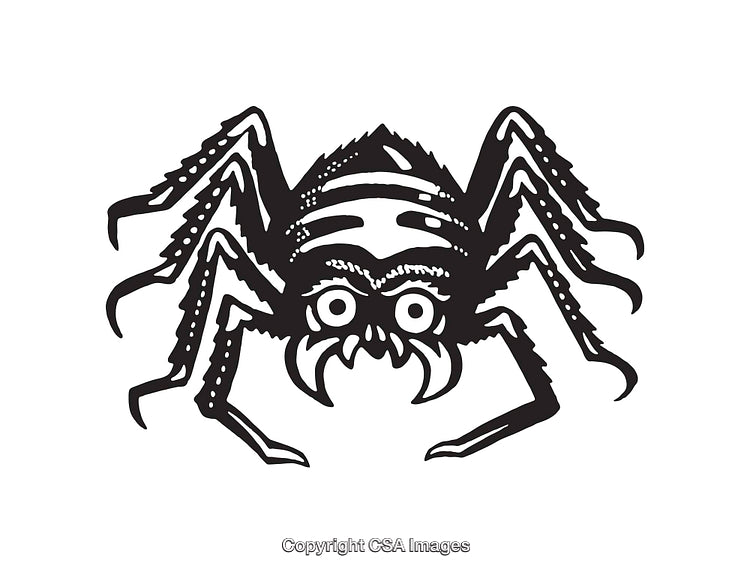 Black and White Line Art Illustration of a Spider with Intricate Details