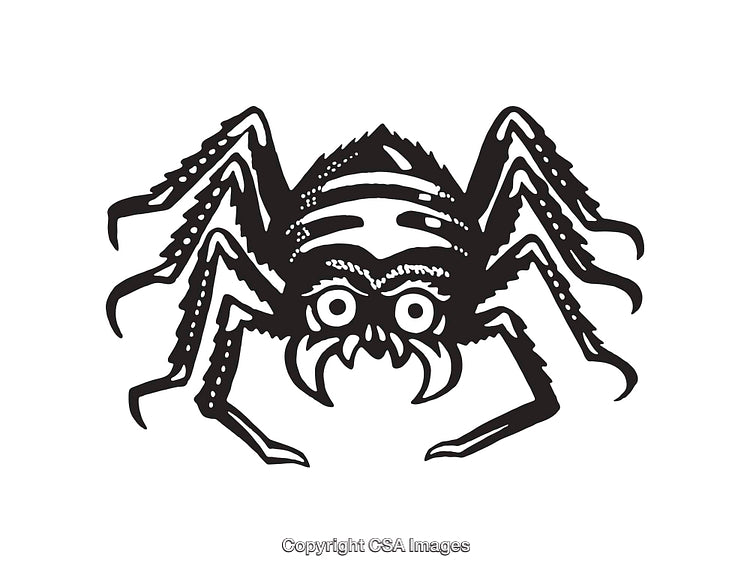 Black and White Line Art Illustration of a Spider with Intricate Details