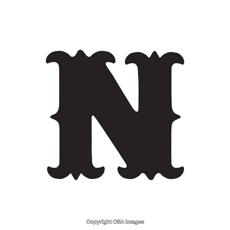 Stylish Decorative Letter N in Bold Black Design on White Background