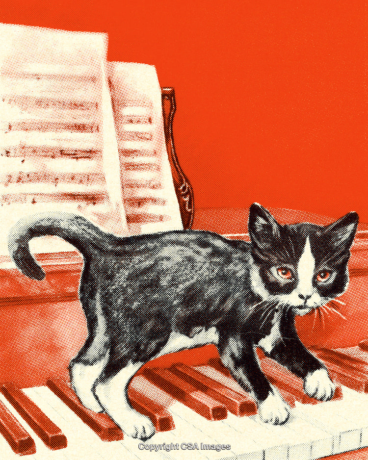 Playful Black Cat Walking on Piano Under a Bright Design