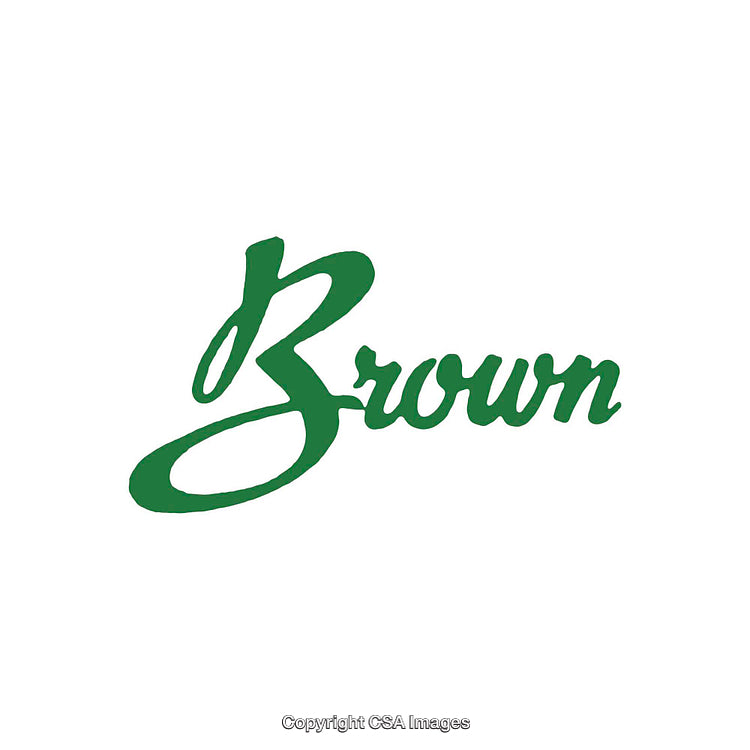 Simple Green Calligraphic Text Design on a White Background