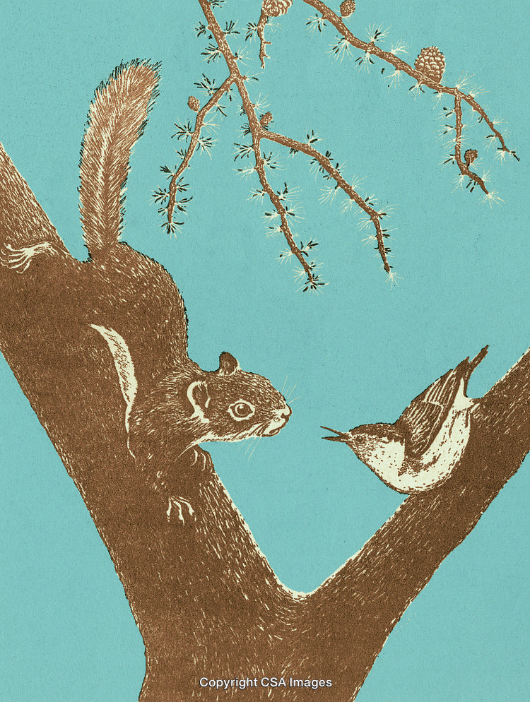 Charming Illustration of a Squirrel and Bird on a Tree Limb