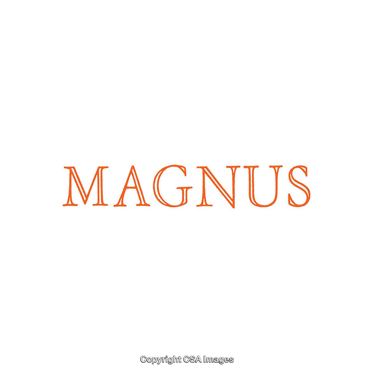Orange Magnus Text Design on White Background for Branding or Decoration
