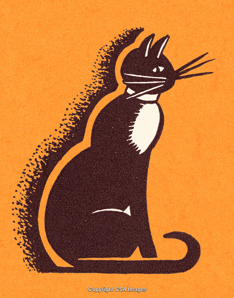 Artistic Illustration of a Black Cat on an Orange Background
