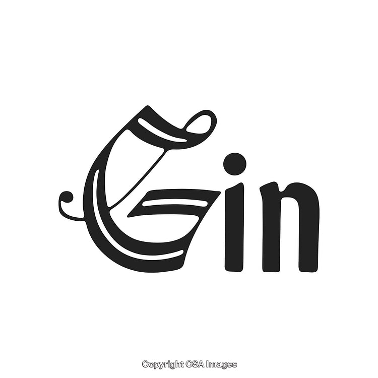 Artistic Typography Featuring the Word Gin in Creative Script Style