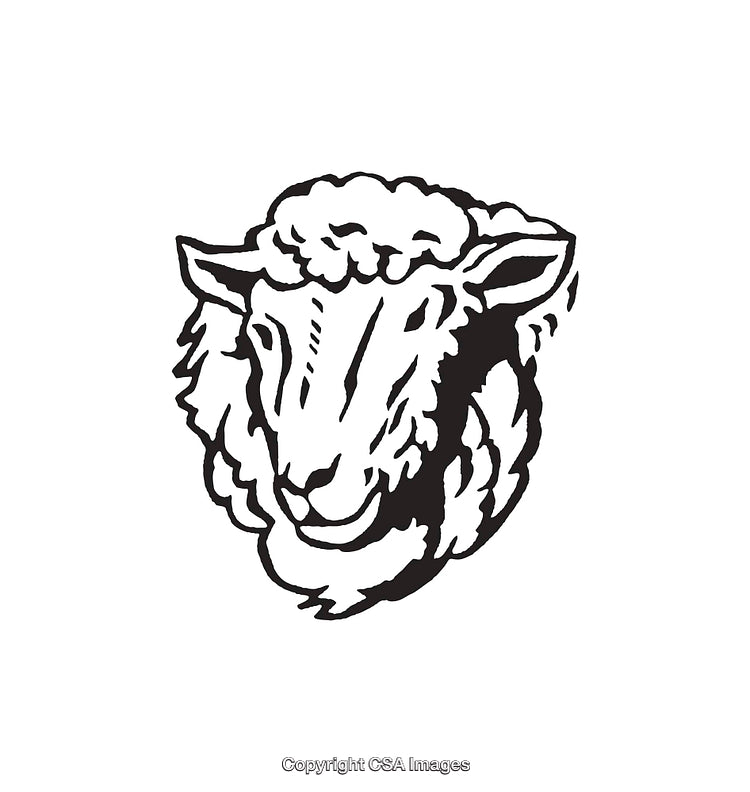 Detailed Black and White Line Art Illustration of a Sheep Head