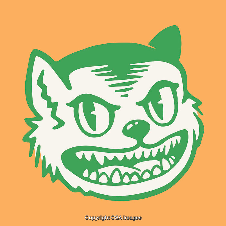 Illustrated Green Cat Face on Vibrant Orange Background