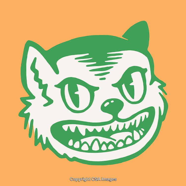 Illustrated Green Cat Face on Vibrant Orange Background