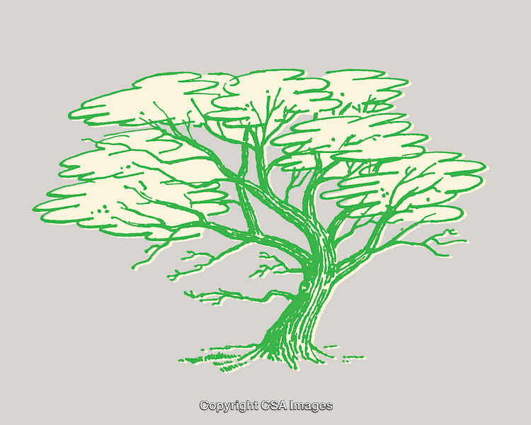 Simple Green Tree Illustration with Minimalistic Line Art Style