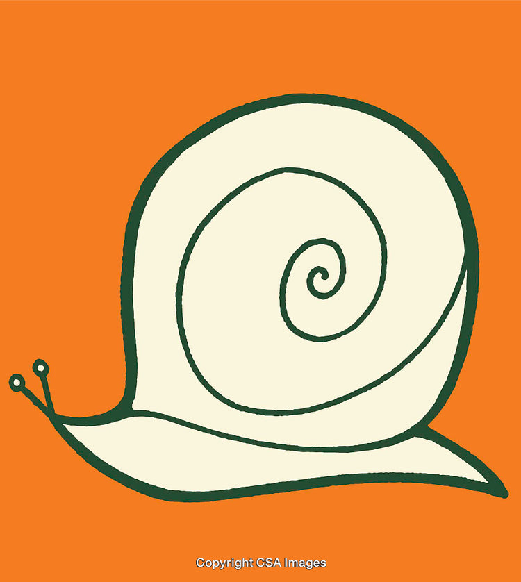 Abstract Orange and Cream Snail Illustration in Minimalist Style