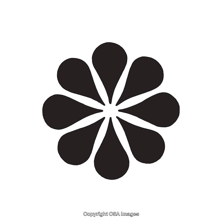 Abstract Symmetric Petal Shaped Flower in Black and White Design