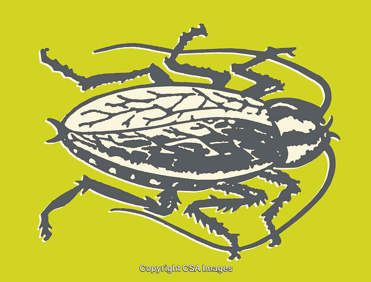 Detailed Line Art Illustration of a Beetle on a Bright Green Background