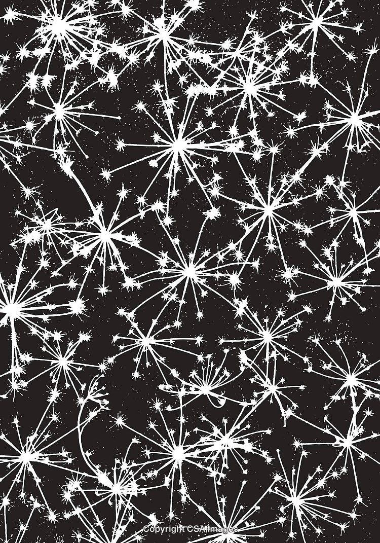 Abstract Black and White Breezy Dandelion Pattern Illustration