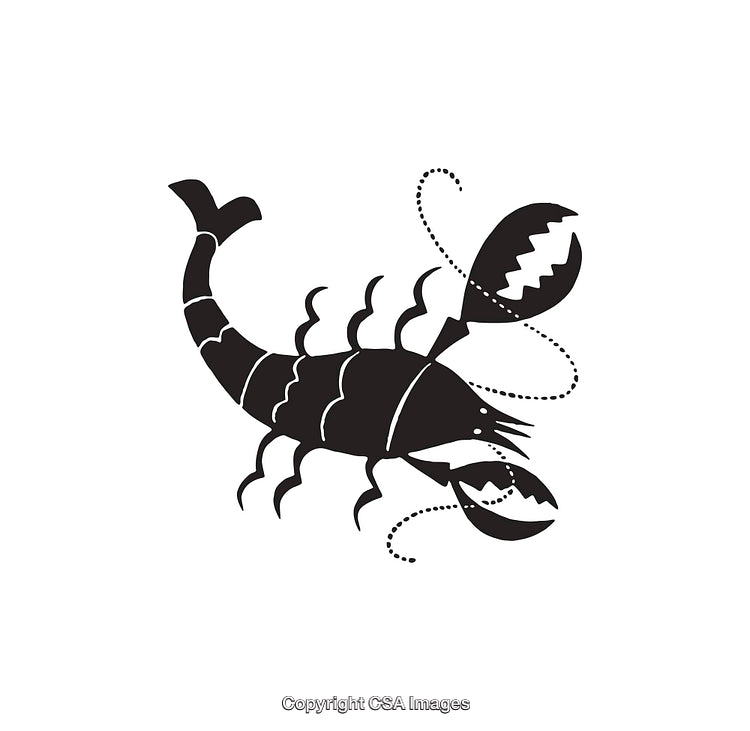 Black and White Scorpion Line Art in Abstract Style