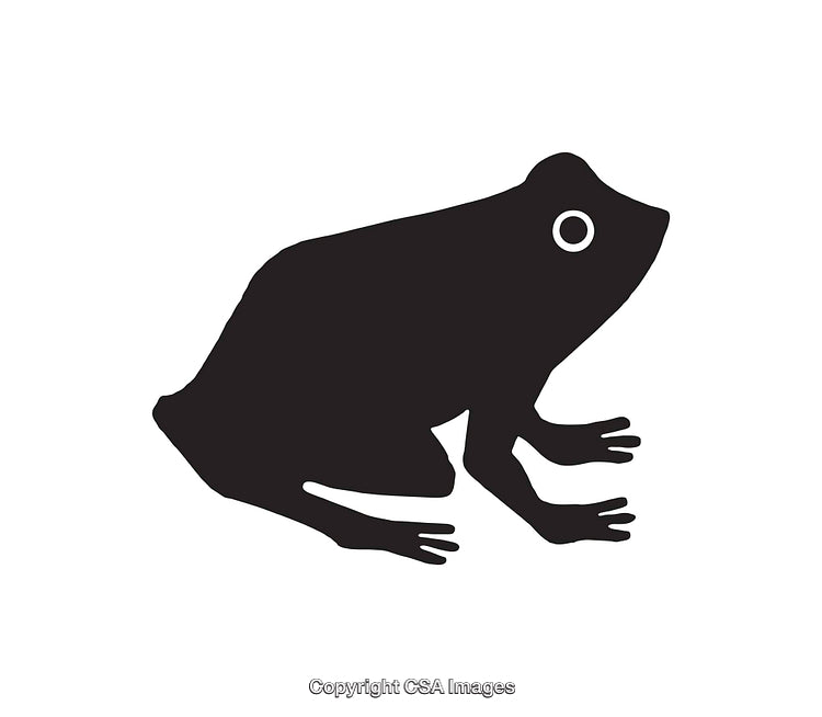 Silhouette of a Frog in Black and White Icon Style