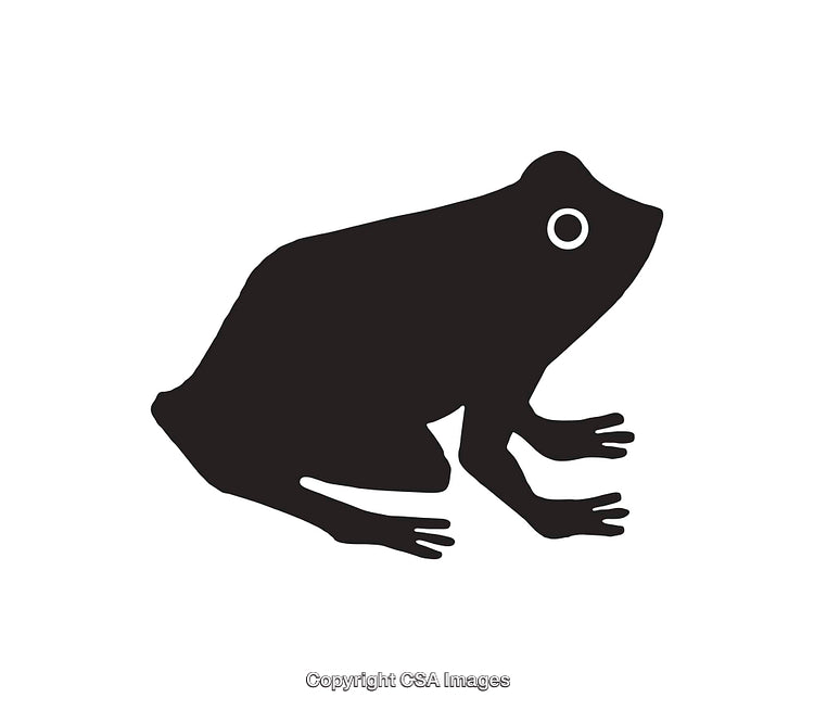 Silhouette of a Frog in Black and White Icon Style