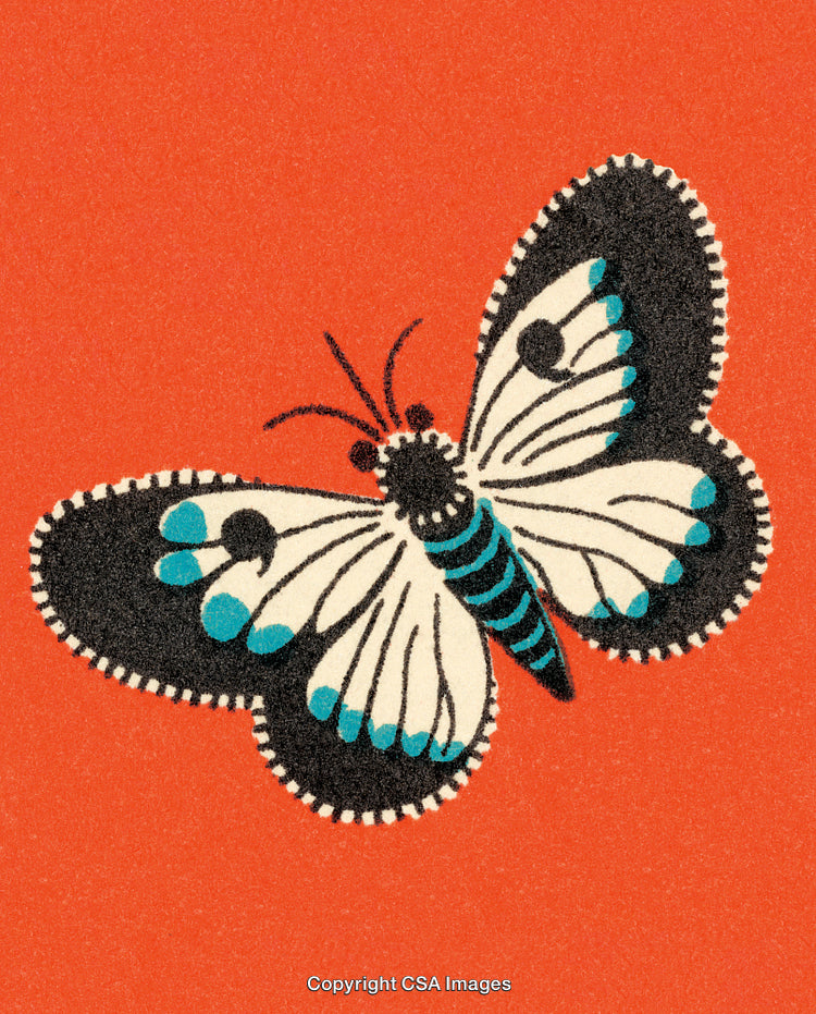Vibrant Butterfly Illustration on Solid Orange Background with Decorative Wings