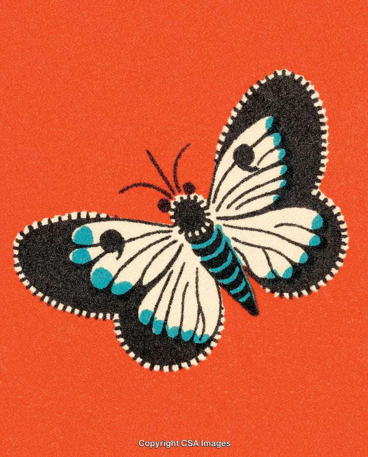 Vibrant Butterfly Illustration on Solid Orange Background with Decorative Wings