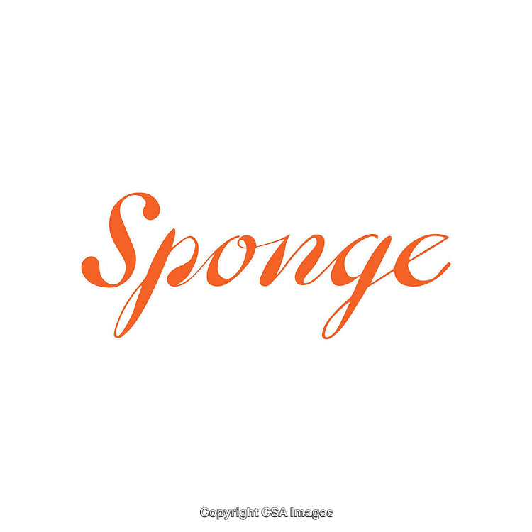 Elegant Orange Calligraphy Text Featuring the Word Sponge