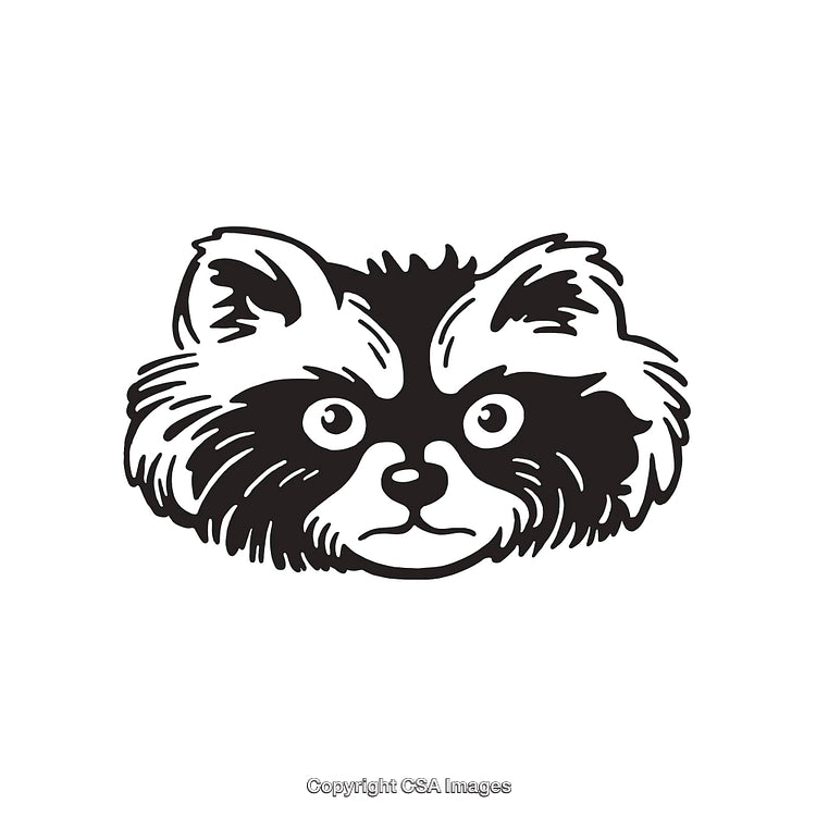 Black and White Illustration of a Raccoon Face in Detailed Line Art