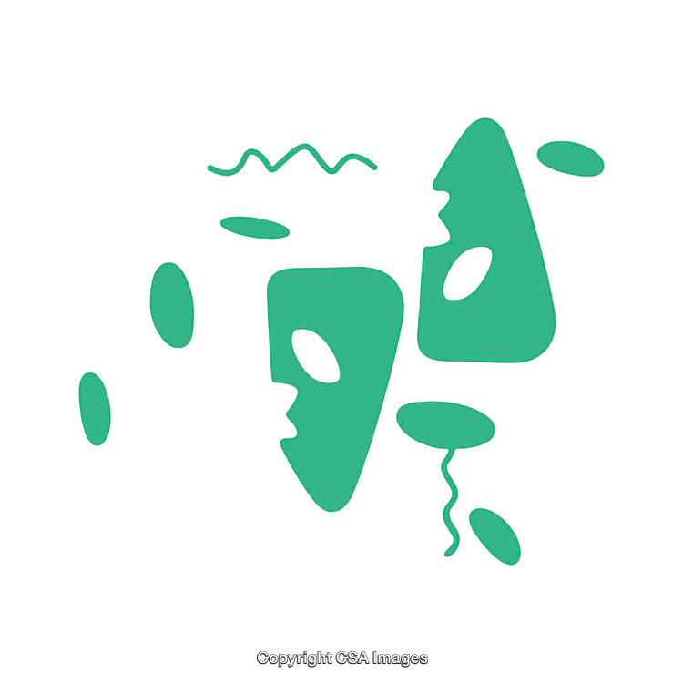 Abstract Geometric Green Shapes With Dynamic Composition on White