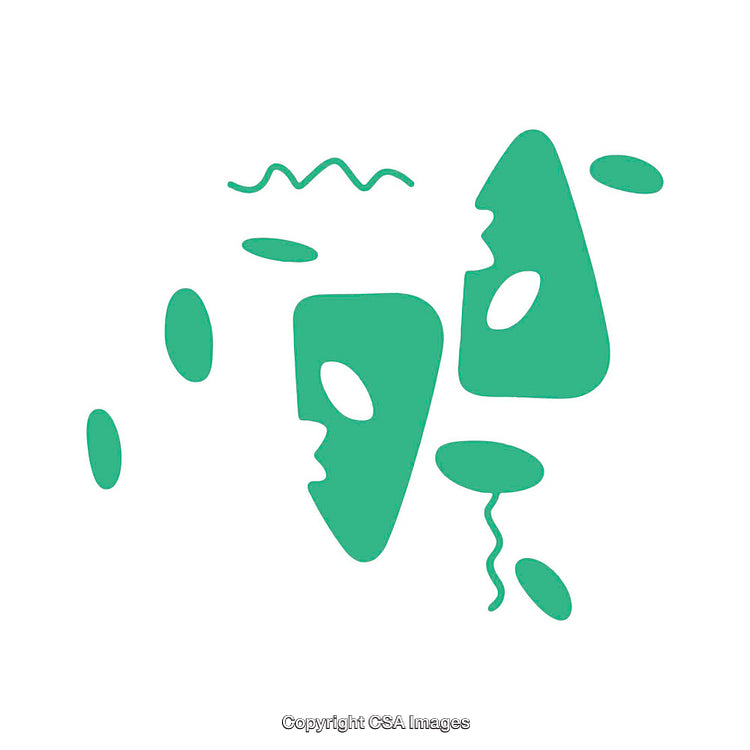 Abstract Geometric Green Shapes With Dynamic Composition on White