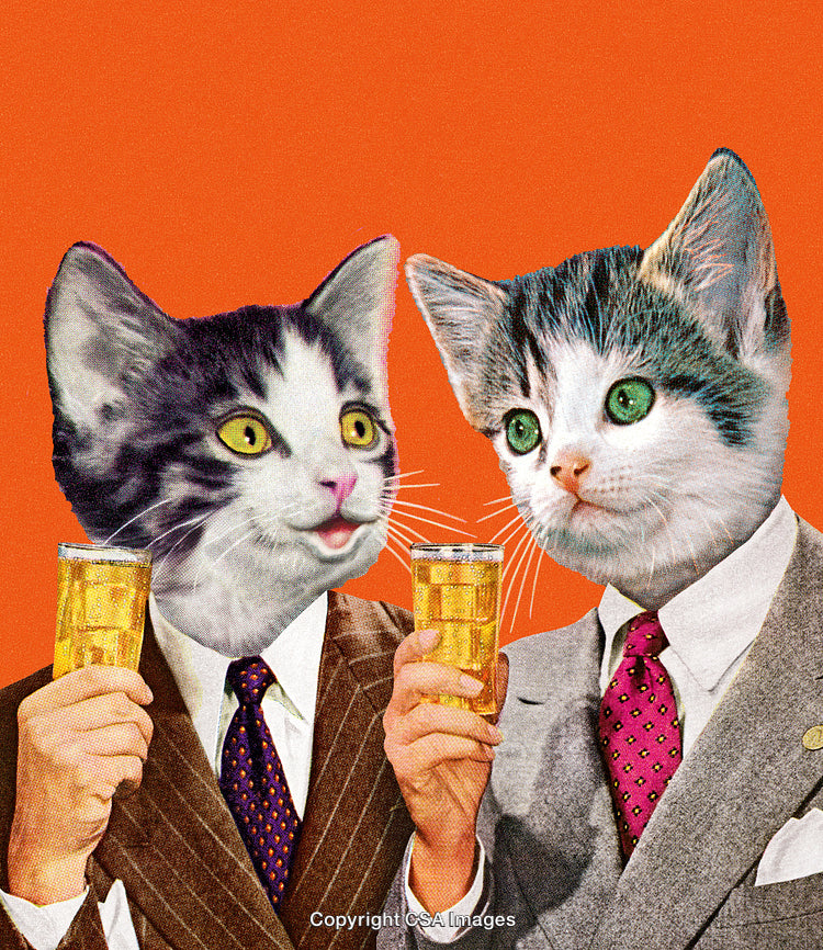 Quirky Cats in Business Attire Holding Beverages on Vibrant Orange Background