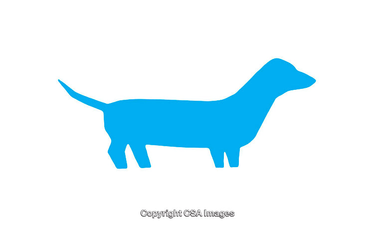 Blue Dachshund Silhouette Icon in Flat Style on a White Background