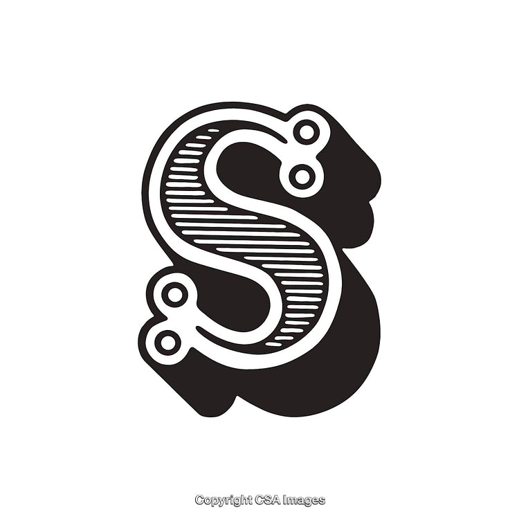 Elegant Monochromatic Design Featuring the Letter S With Decorative Lines