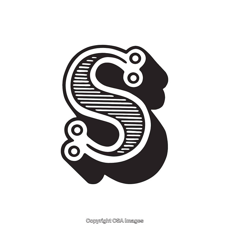 Elegant Monochromatic Design Featuring the Letter S With Decorative Lines