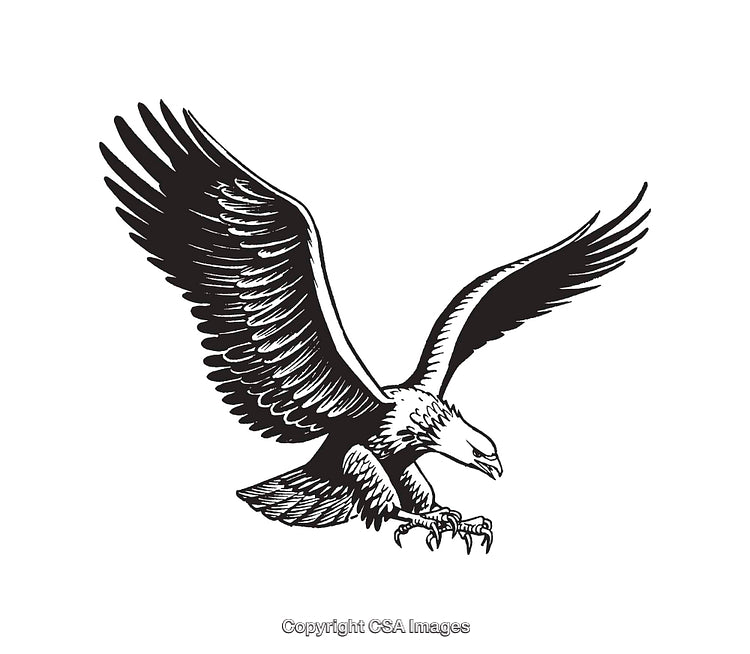Elegant Black and White Line Art of a Flying Eagle in Motion